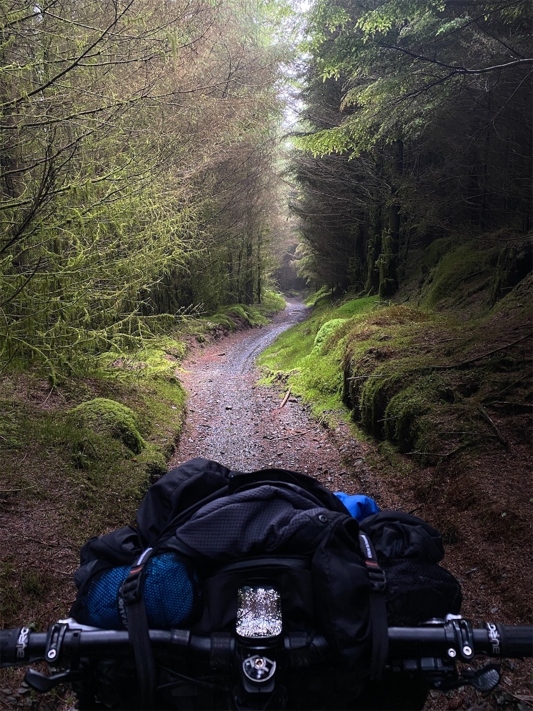 Ahh, atmospheric singletrack. Lovely.