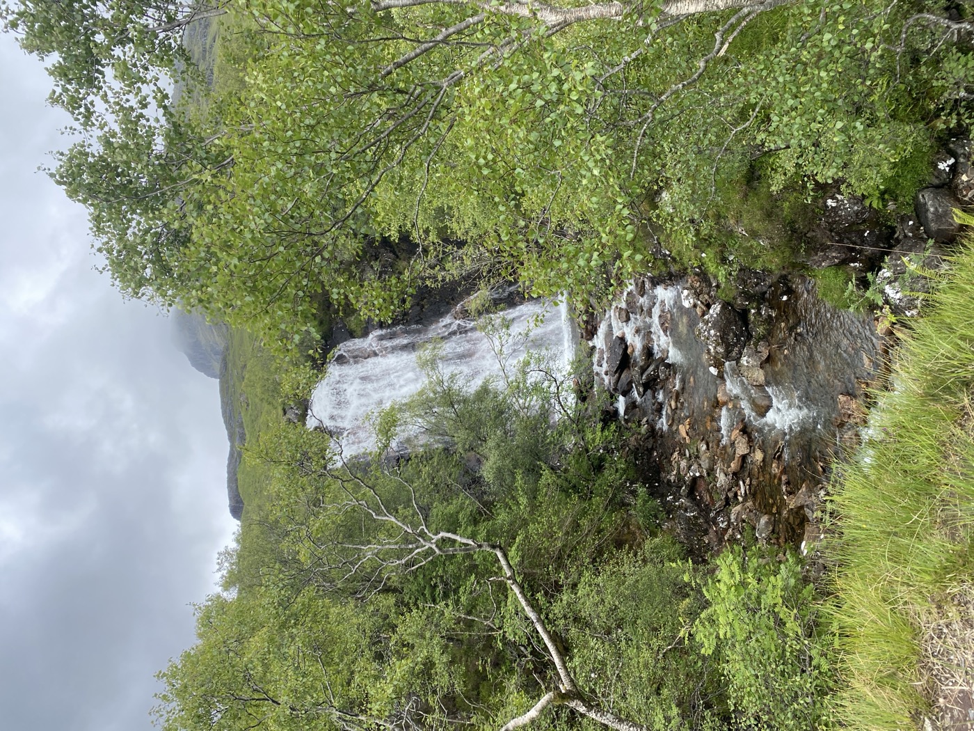 A semi-hidden gem of a waterfall just doing its thing