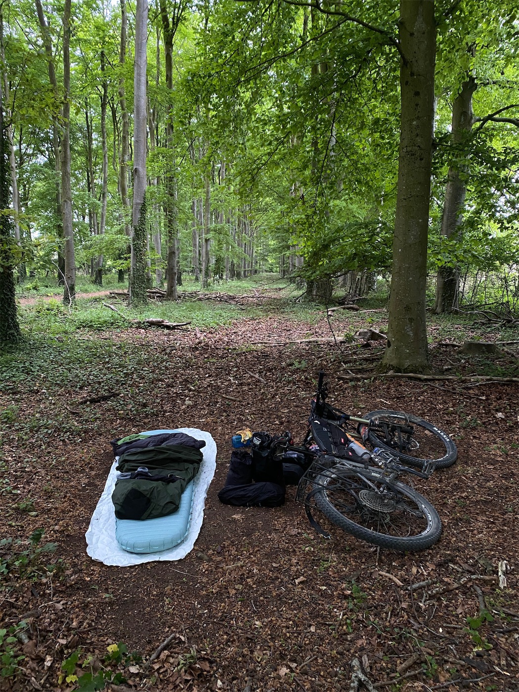 One of few areas along the section of the ridgeway that KAW follows that seemed good to bivvy.