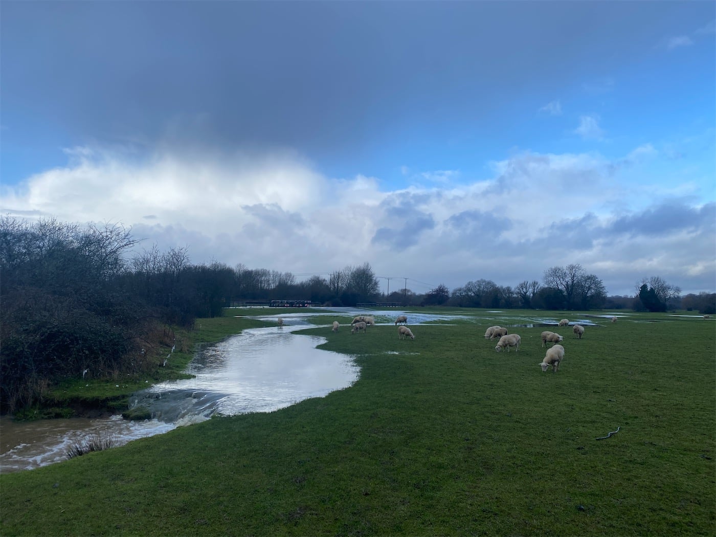 There shouldn’t be water flowing across this field. What I thought from a distance was a wet tarmac access road to the river infrastructure, was actually water overflowing the lock and pouring over the grass bank into the field.