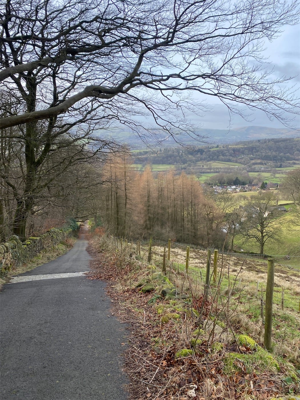 It doesn’t look it but this road turned byway is so steep I had to take breaks every 50m or so – going down!